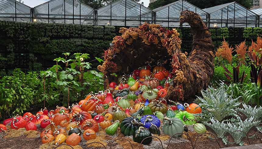 Glass Exhibition at the Atlanta Botanical Garden featuring a Giant Cornucopia of Cohn-Stone Pumpkins